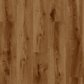 Revolution Plus (Promo)