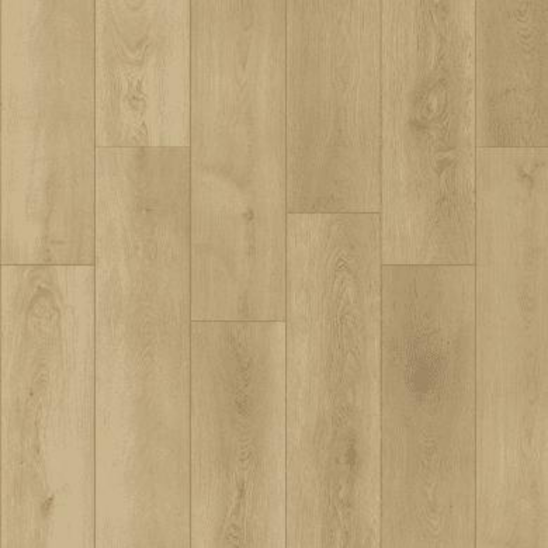 Independence Plus (Promo)