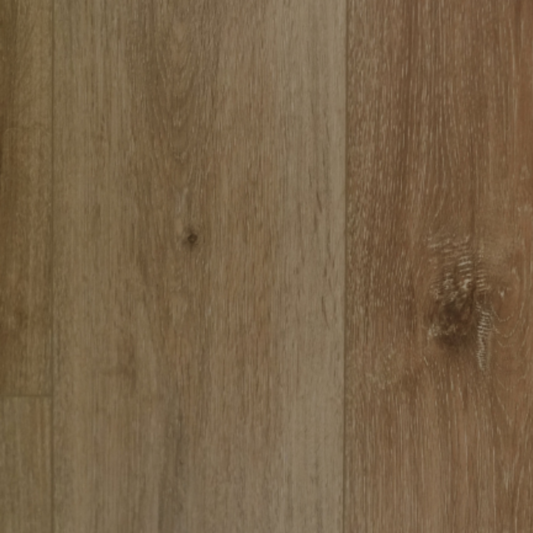 Independence Plus (Promo)